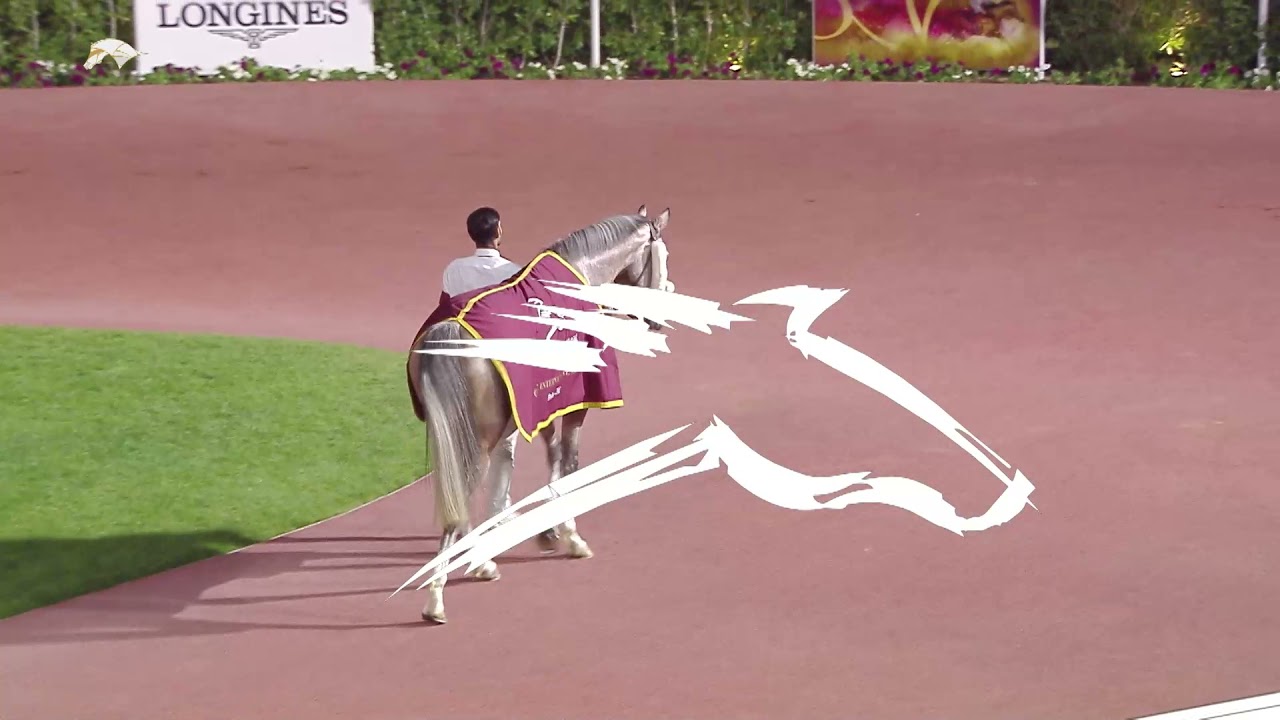 RM22 - RACE 9 QATAR INTERNATIONAL DERBY