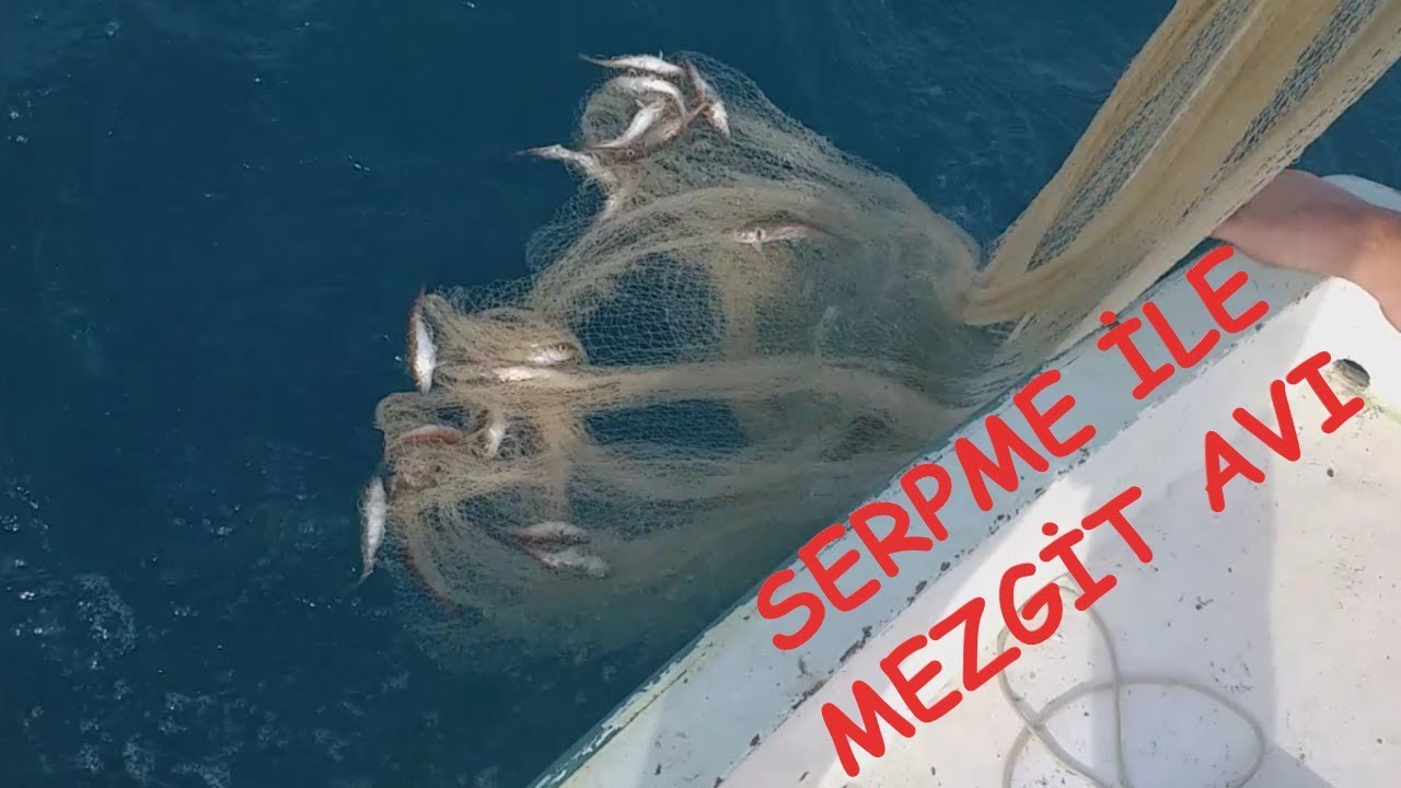Balık avı (Bölüm 64) serpme ile mezgit balığı avı yaptık.