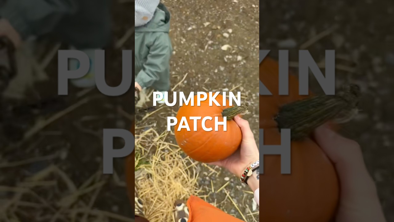 First Pumpkin Patch of the season 🎃🍂