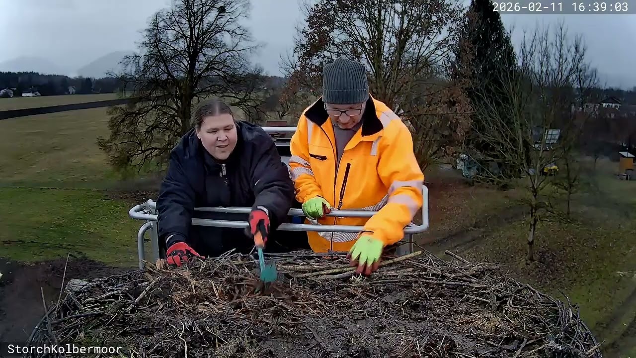 *Nestreinigung 2026* Storchennest Kolbermoor