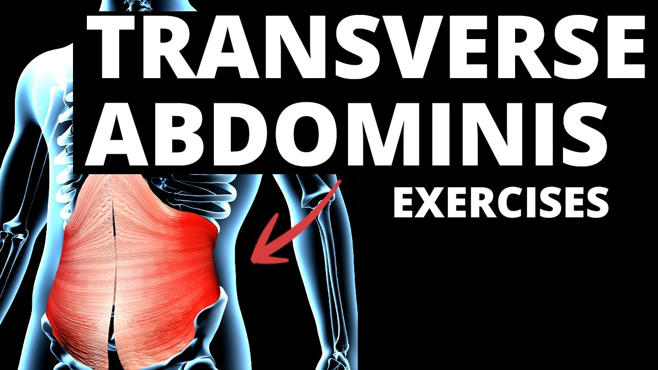 7 Effective TRANSVERSE ABDOMINIS Exercises (WORK IMMEDIATELY!)