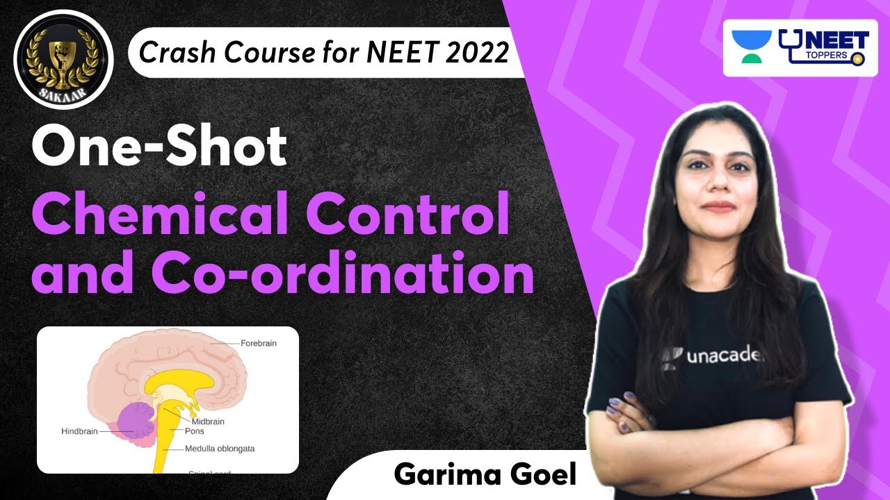 Phoenix 2.0: Biology Most Important Video for NEET 2025 | Unacademy NEET Toppers | Udaan
