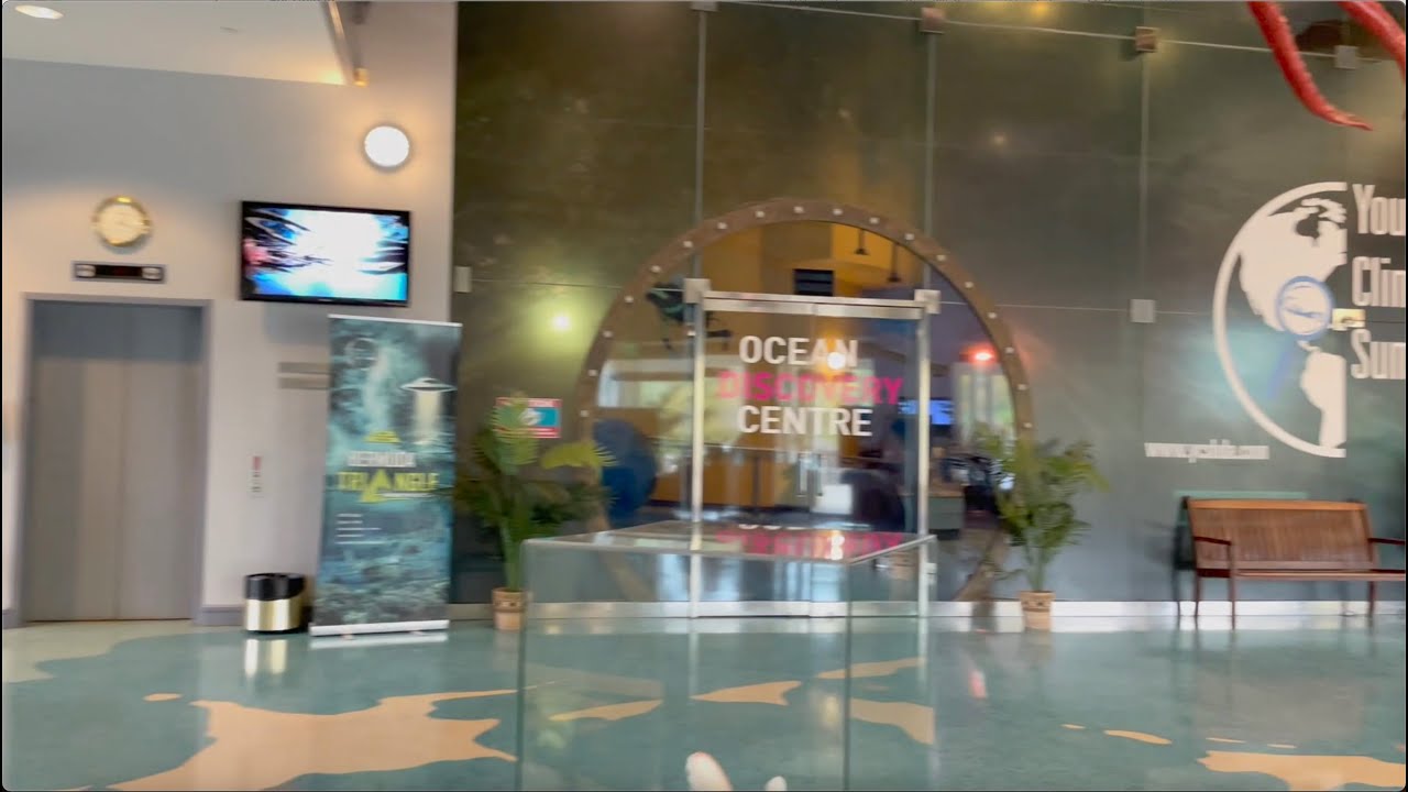 A Day At The Ocean Discovery Center - Bermuda #bermuda #oceandiscoverycenter #museum