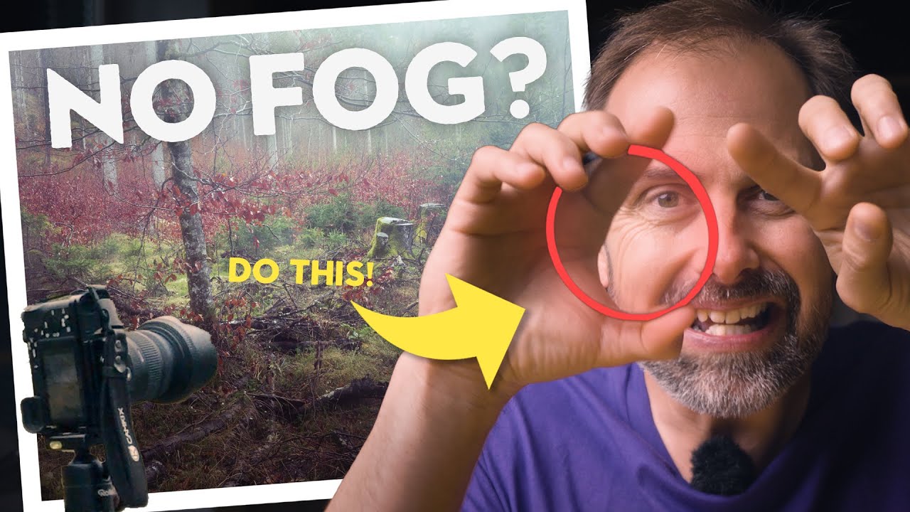 This Simple Trick Makes Woodland Photography Much Easier