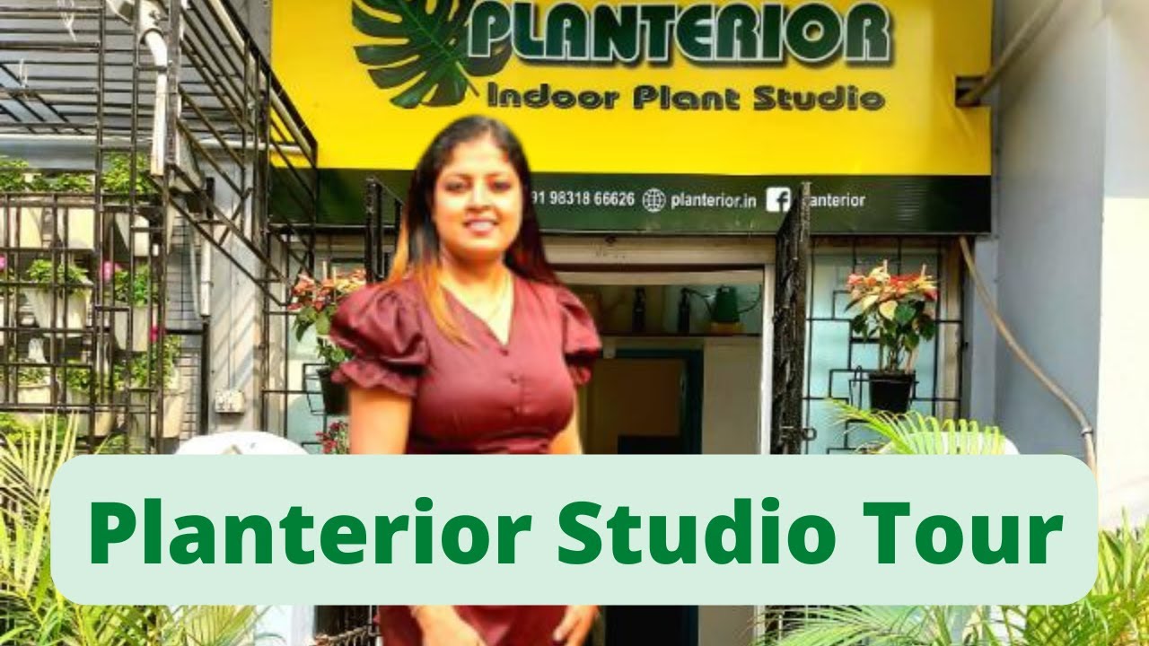 Planterior Studio Tour.