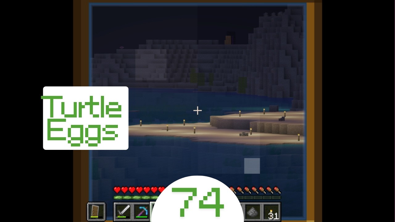Minecraft #74 - Turtle Eggs