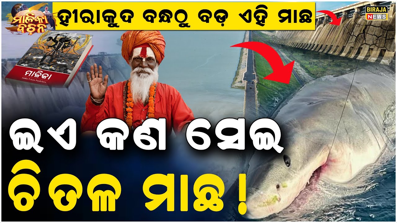 ହୀରାକୁଦରେ ଭାସୁଛି ରାକ୍ଷସ ମୁଁହ ପରି ବଡ଼ ମାଛ,ଲୋକଙ୍କ ମନରେ ଛନକା ପଶିଲା | Hirakud Dam | Naveen | Biraja News