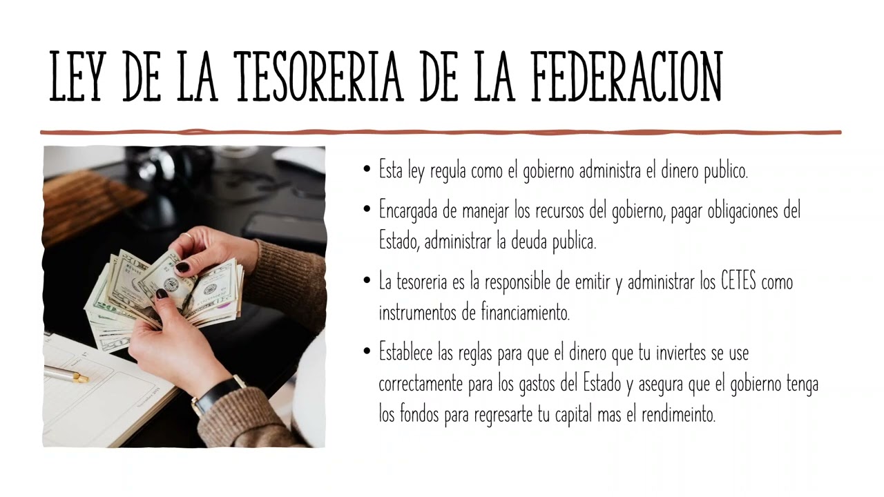 MARCO JURIDICO DE LOS CERTIFICADOS DE TESORERIA DE LA FEDERACION (CETES) EN MEXICO