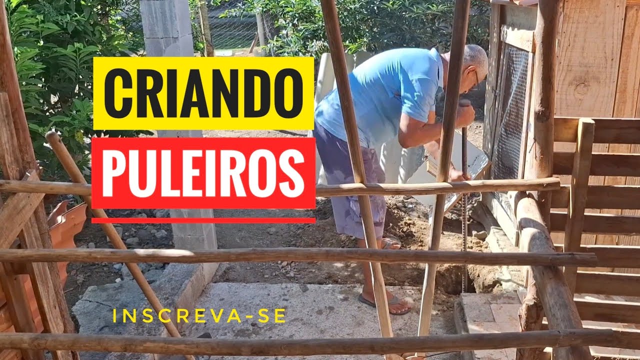 Criando Puleiros Novos para as Aves 🐔🐓 | Mais Conforto e Organização no Plantel.