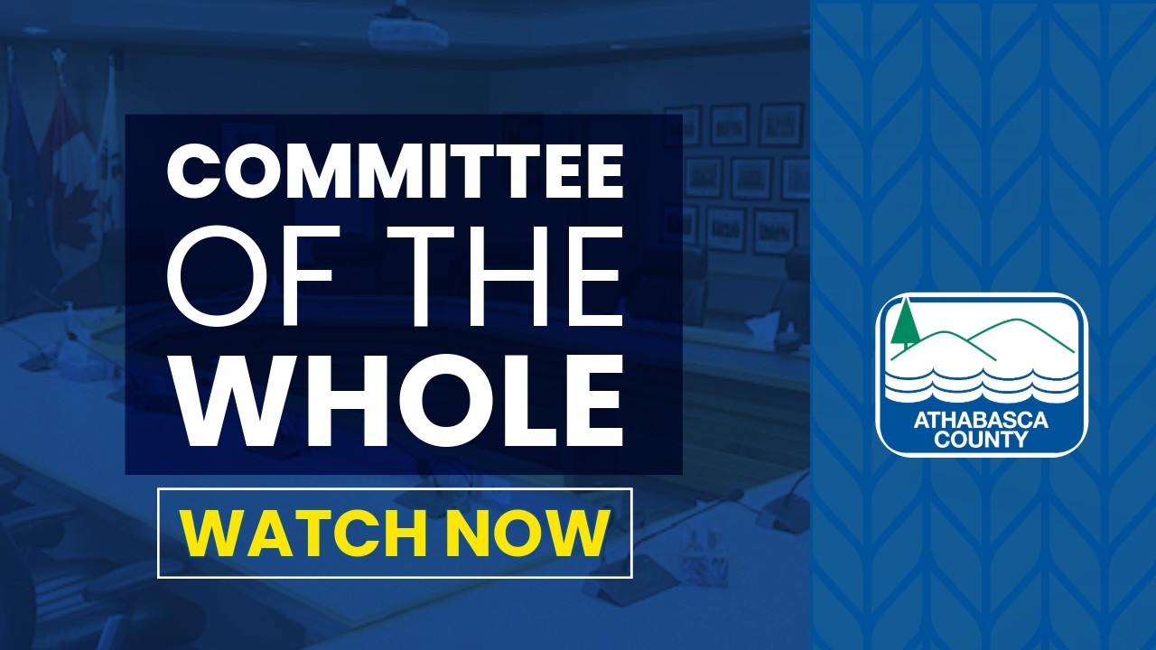 Committee of the Whole - February 17th, 2026