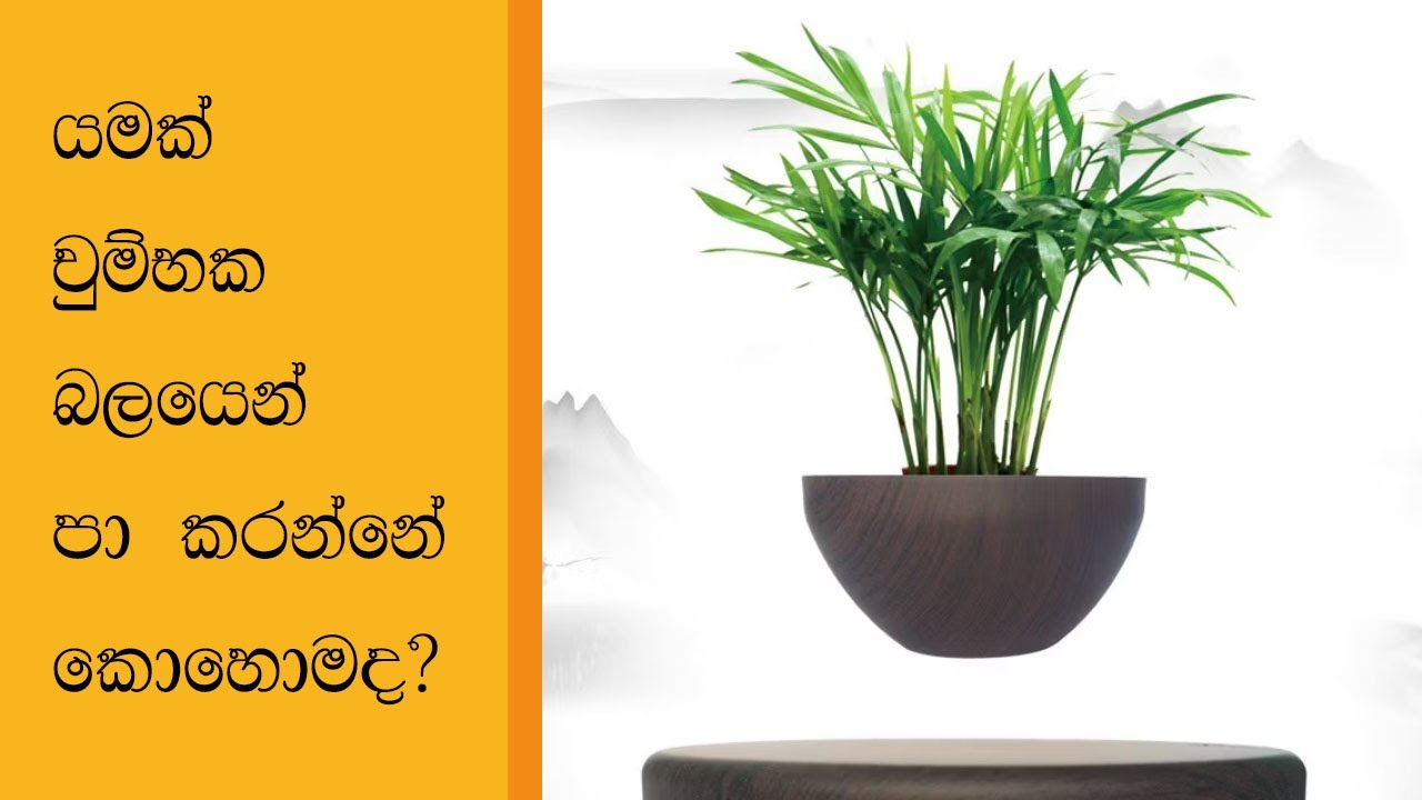 [035] යමක් චුම්භක බලයෙන් පා කරන්නේ කොහොමද? - How Magnetic Levitation works in Sinhala