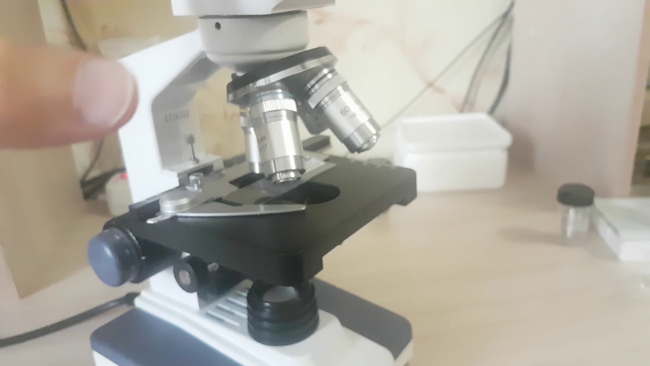 Устройство и работа с микроскопом на примере AmScope M620B