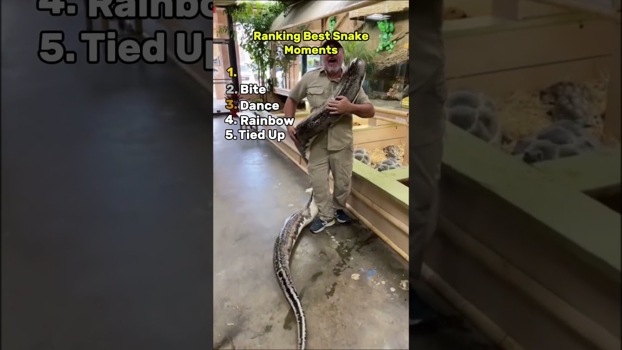Best Snake Moments