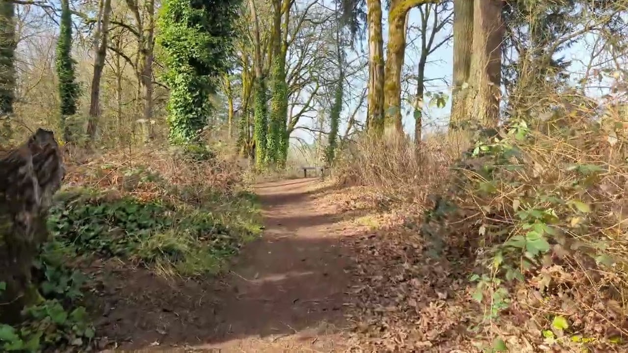 Champoeg State Park – Sunny Midday Winter Light | Quiet Solo Walk
