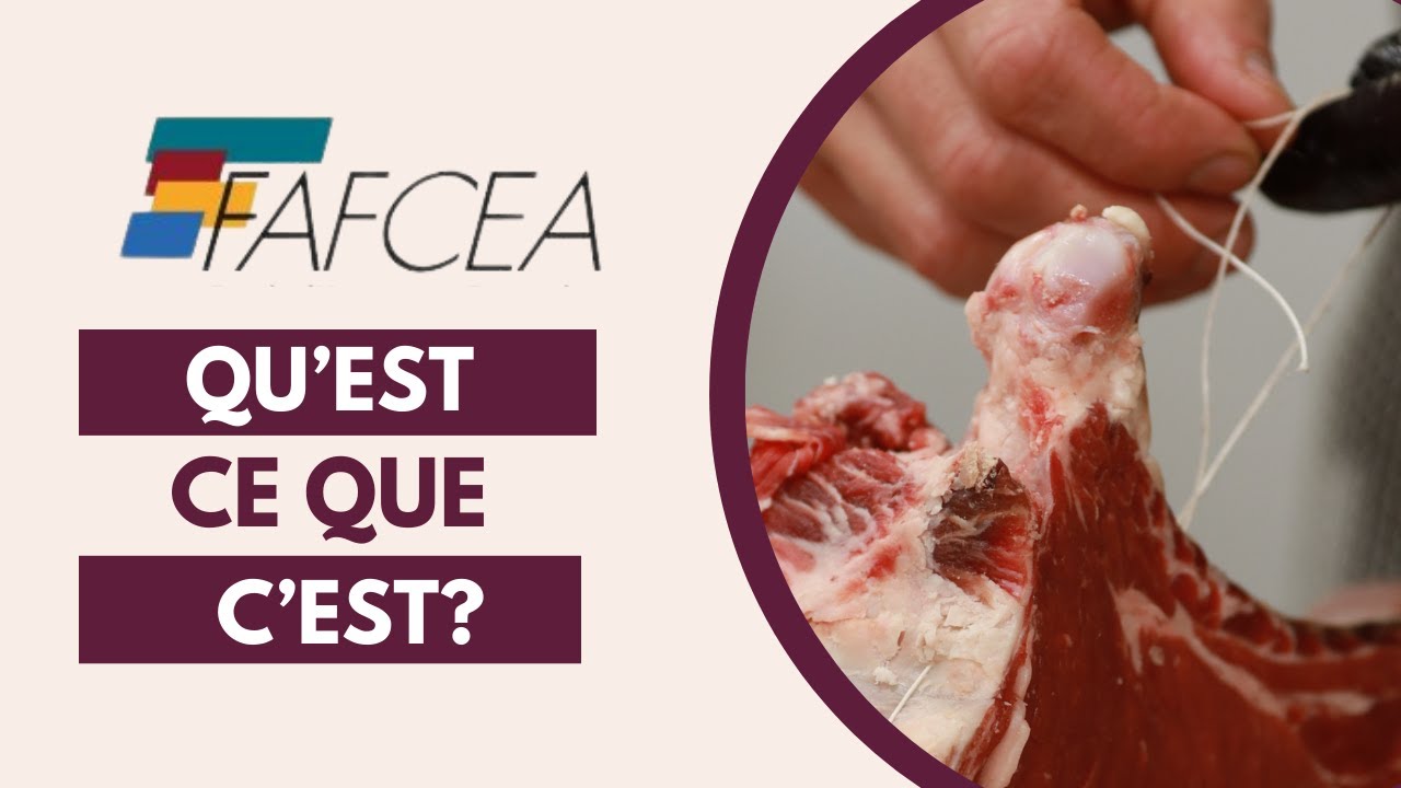 Qu'est-ce que le FAFCEA ?