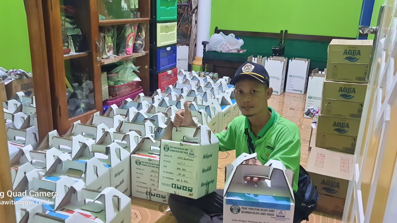 Unboxing Kecambah Kelapa Sawit Resmi dari PPKS. Wa. 08117182255