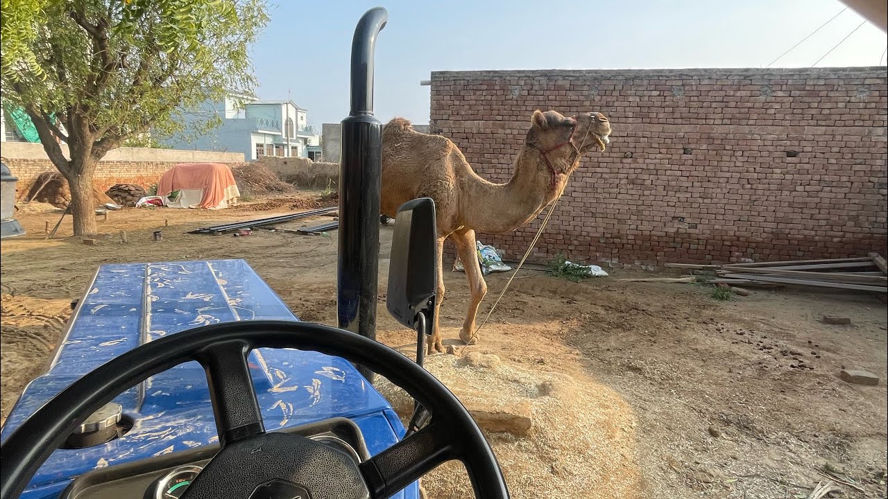 Desi village life 😍……….#vlog #lifestyle #desi #vlogger 