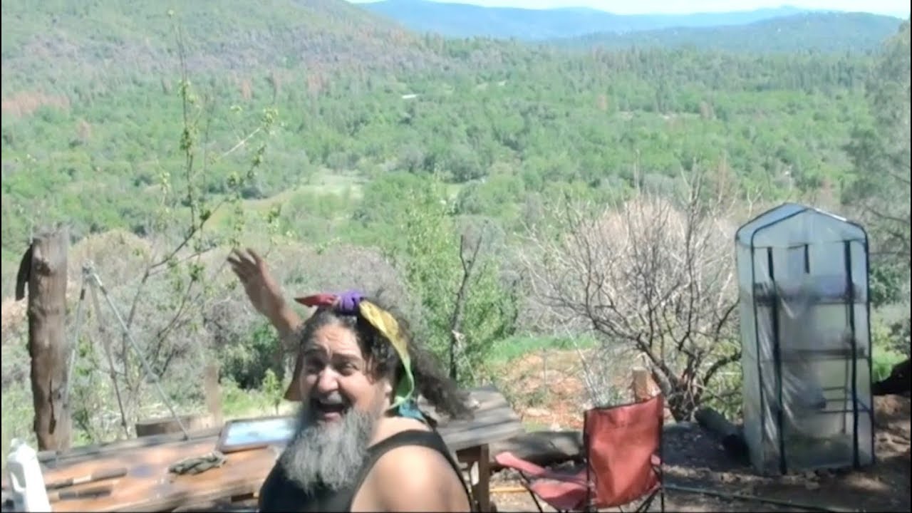 Triple Rainbow Guy?
