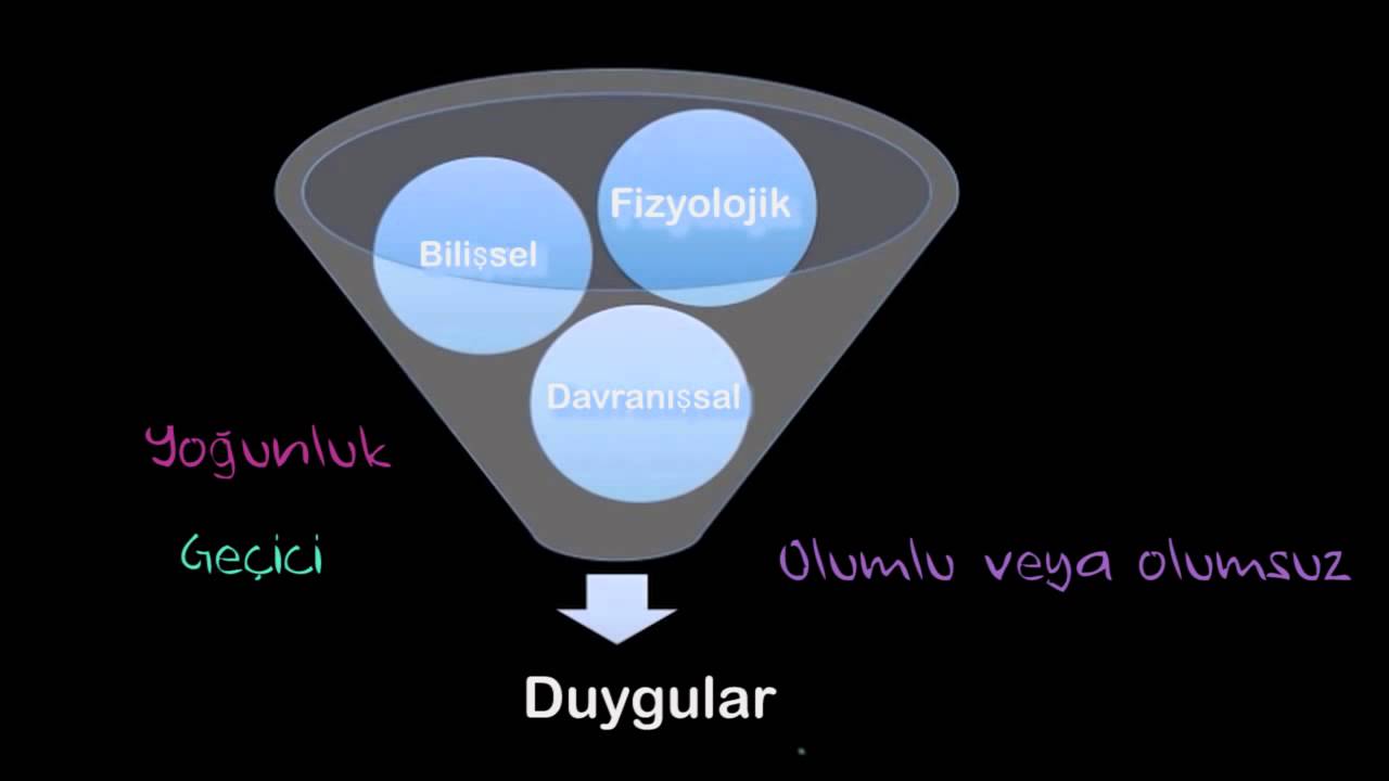 Duygunun Üç Bileşeni ve Evrensel Duygular (Sosyoloji / Bireyler ve Toplum)