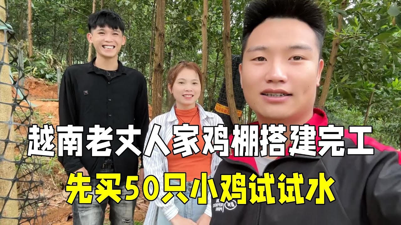 越南老丈人家鸡棚搭建完工，先买50只小鸡试试水，真怕养不活！