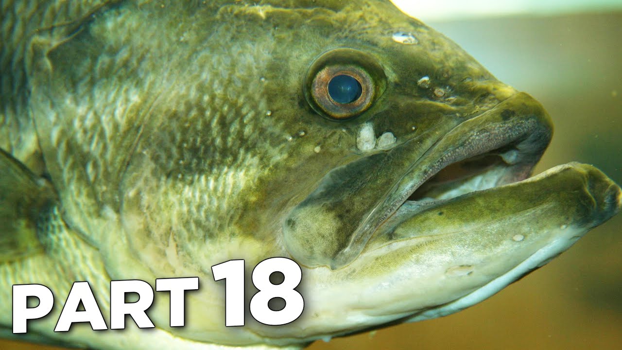 FIRST TIME FISHING in FAR CRY 6 PS5 Walkthrough Gameplay Part 18 (FULL GAME)