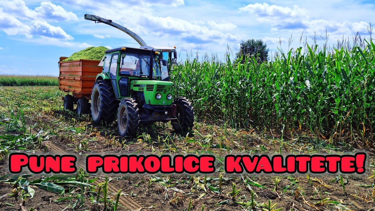 Silaža 2024! | Silage 2024!