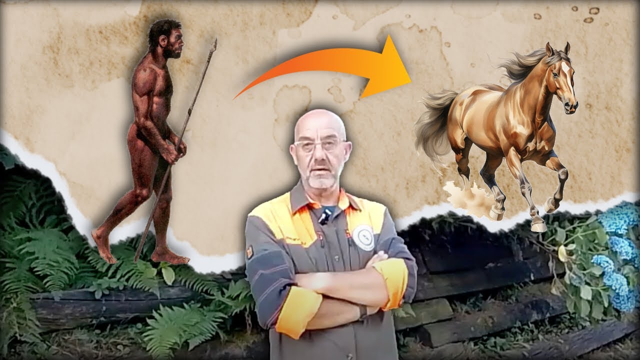 Ma è nato prima l'uomo o il cavallo? - Le origini del cavallo