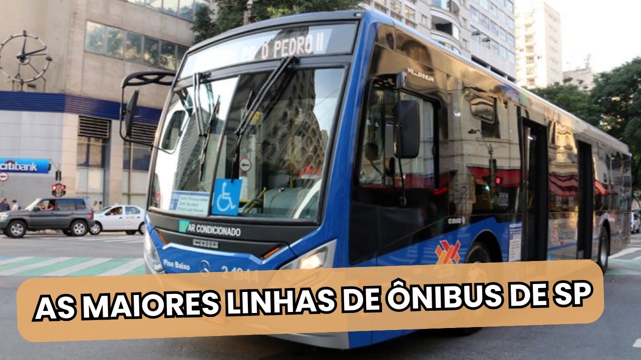 QUAIS AS MAIORES LINHAS DE ÔNIBUS DE SP?