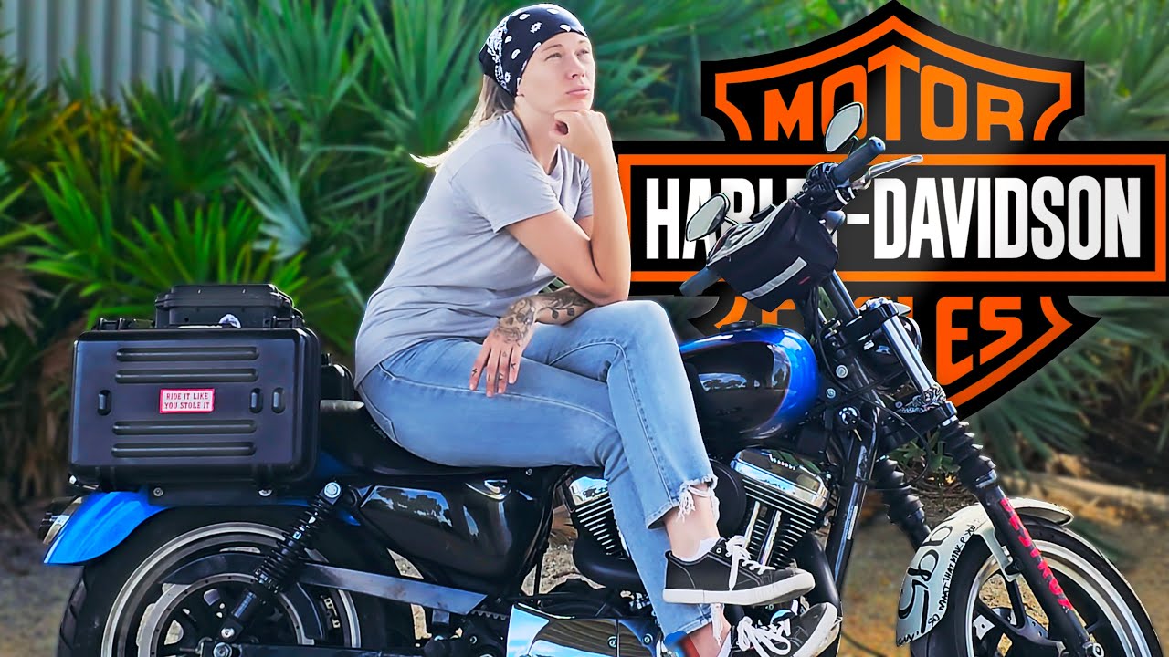Why Do People Hate Harley-Davidson and Its Riders?
