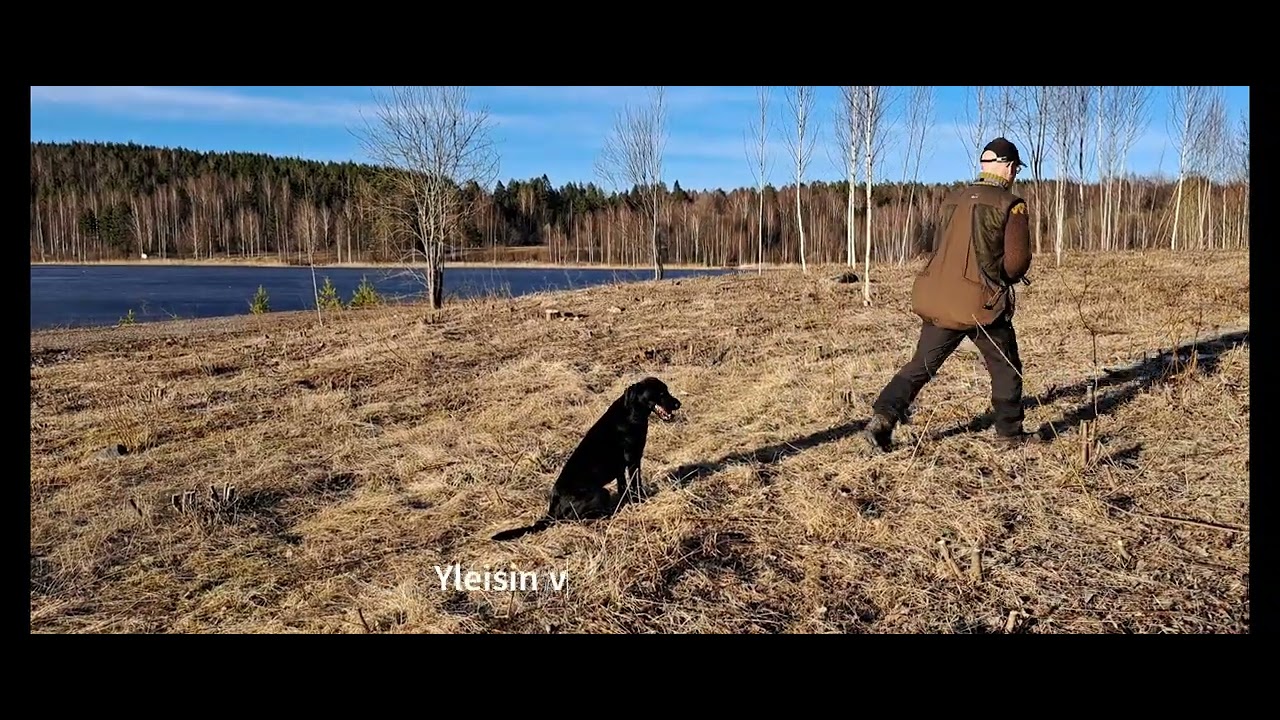 Noudon ABC lähihaun alkeet ja tavoite
