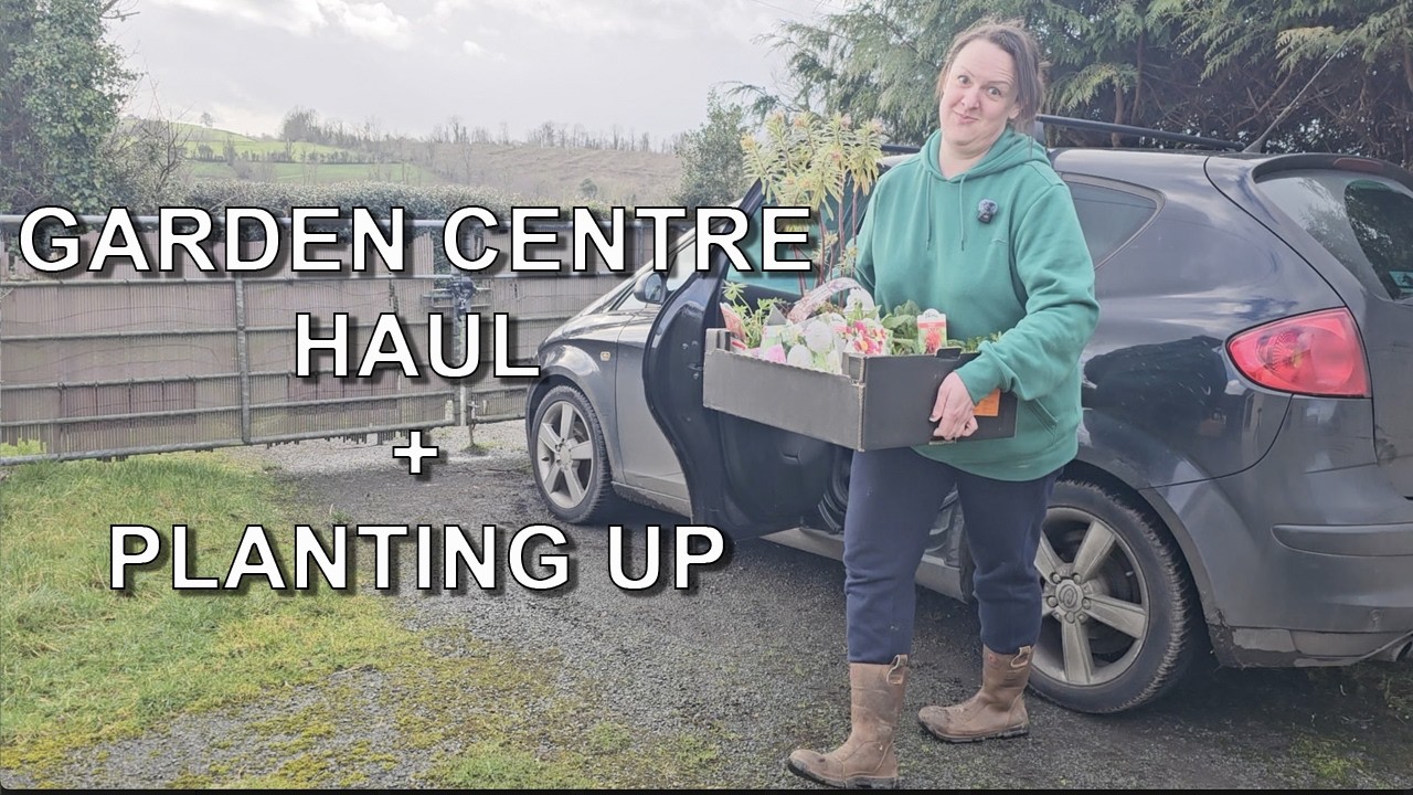 Garden Centre Haul and Planting | Pollinator Friendly Garden