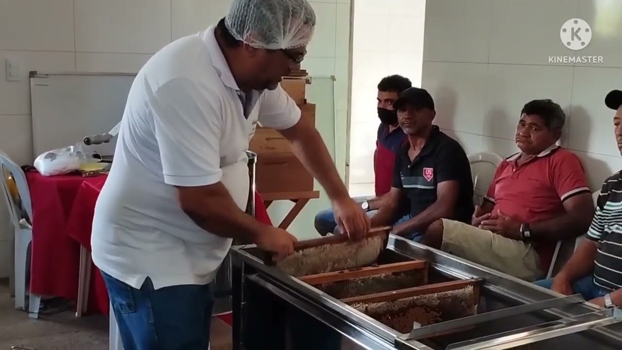 Extração de mel em casa padrão