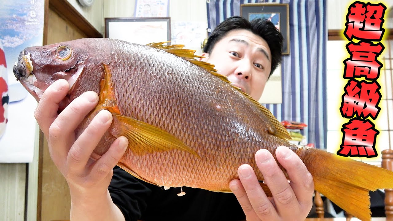 一生に一度食べれるかどうか...完璧に仕立てられた超高級魚を兄貴と食べてみました！！！