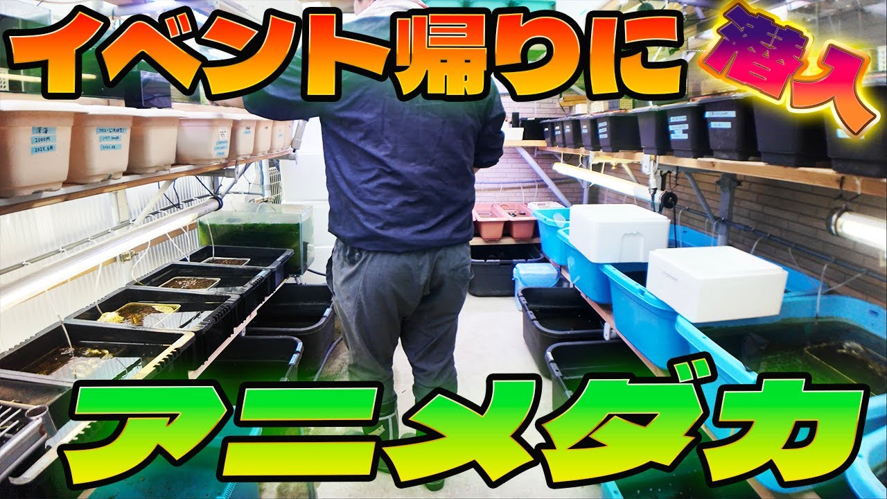 神の声が現れる噂のめだか無人販売所に潜入してみた！