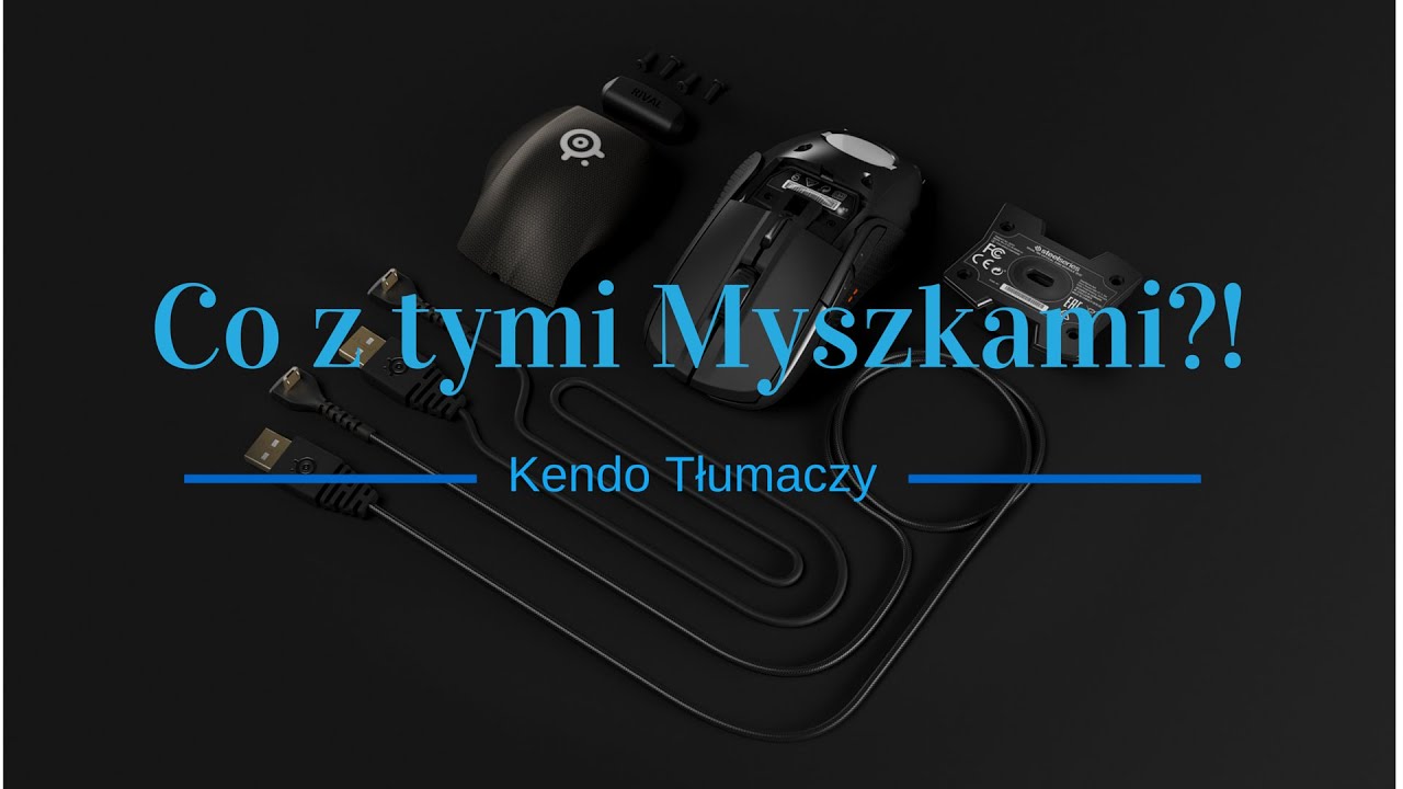 Akceleracja, interpolacja, sensitivity, DPI - czyli co w myszkach piszczy...