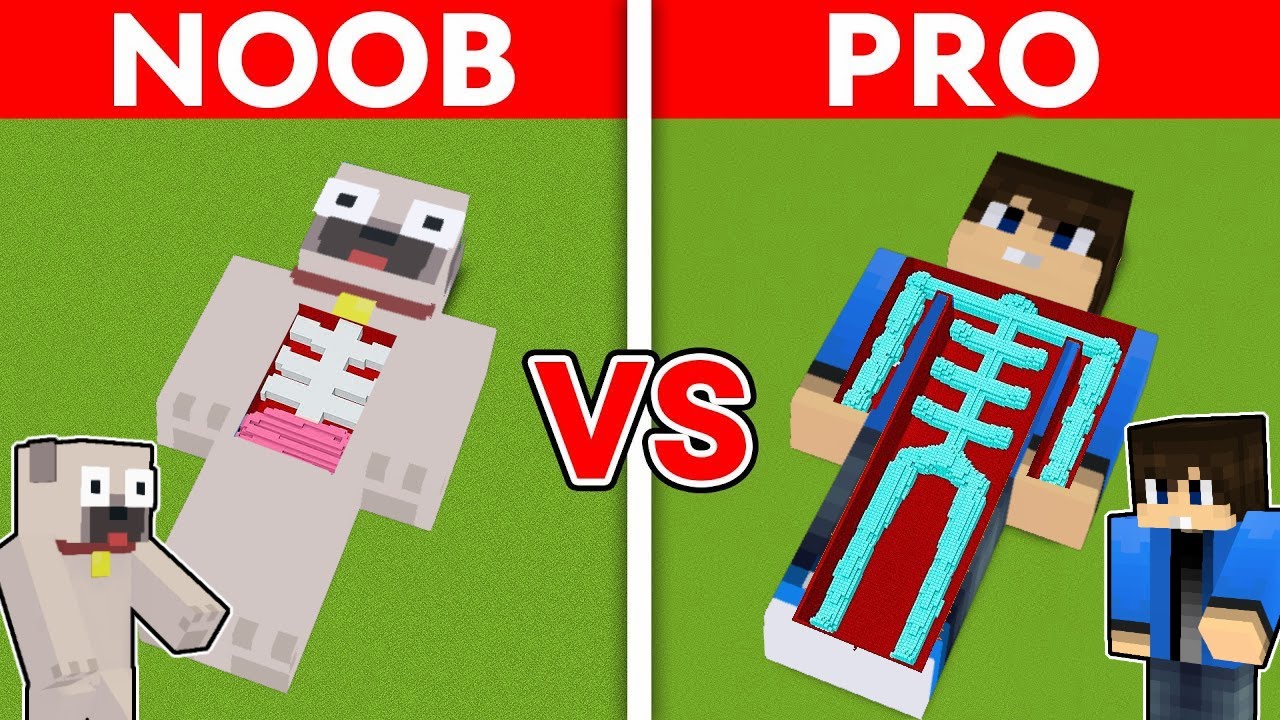 DANI vs KIIS REJTETT HÁZ A TESTÜNKBEN A MINECRAFTBAN!