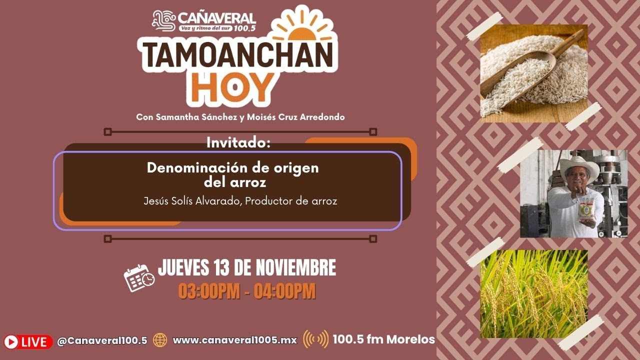 #TamoanchanHoy - 13|11|2025