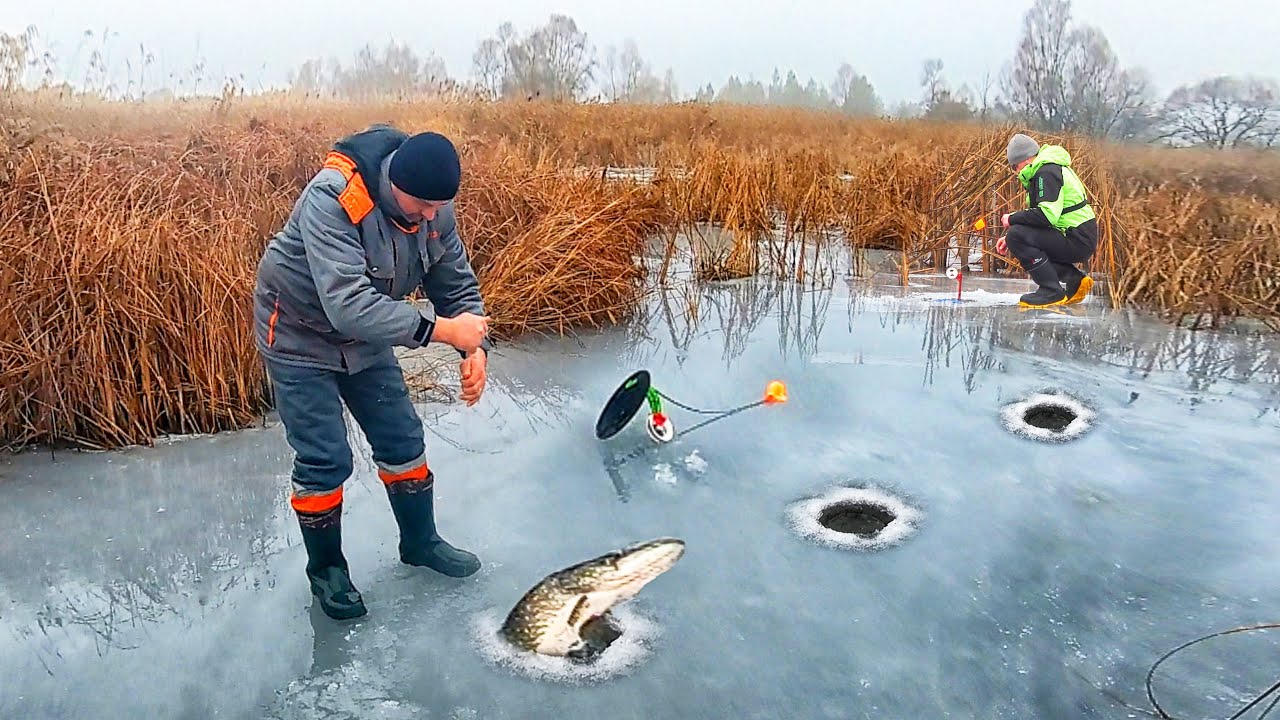 СЕРЁГА, ЖЕРЛИЦЫ СНИМАЙ... МЕНТОВ ВЫЗВАЛИ!!! РЫБАЛКА на ЖЕРЛИЦЫ и ПОДВОДНАЯ СЪЕМКА ПОКЛЁВОК