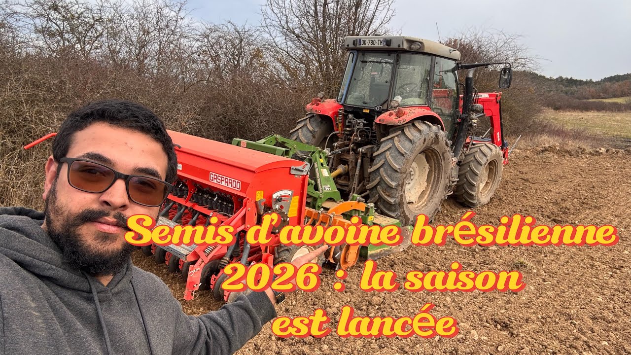 Semis d’avoine brésilienne 2026 : la saison est lancée 
