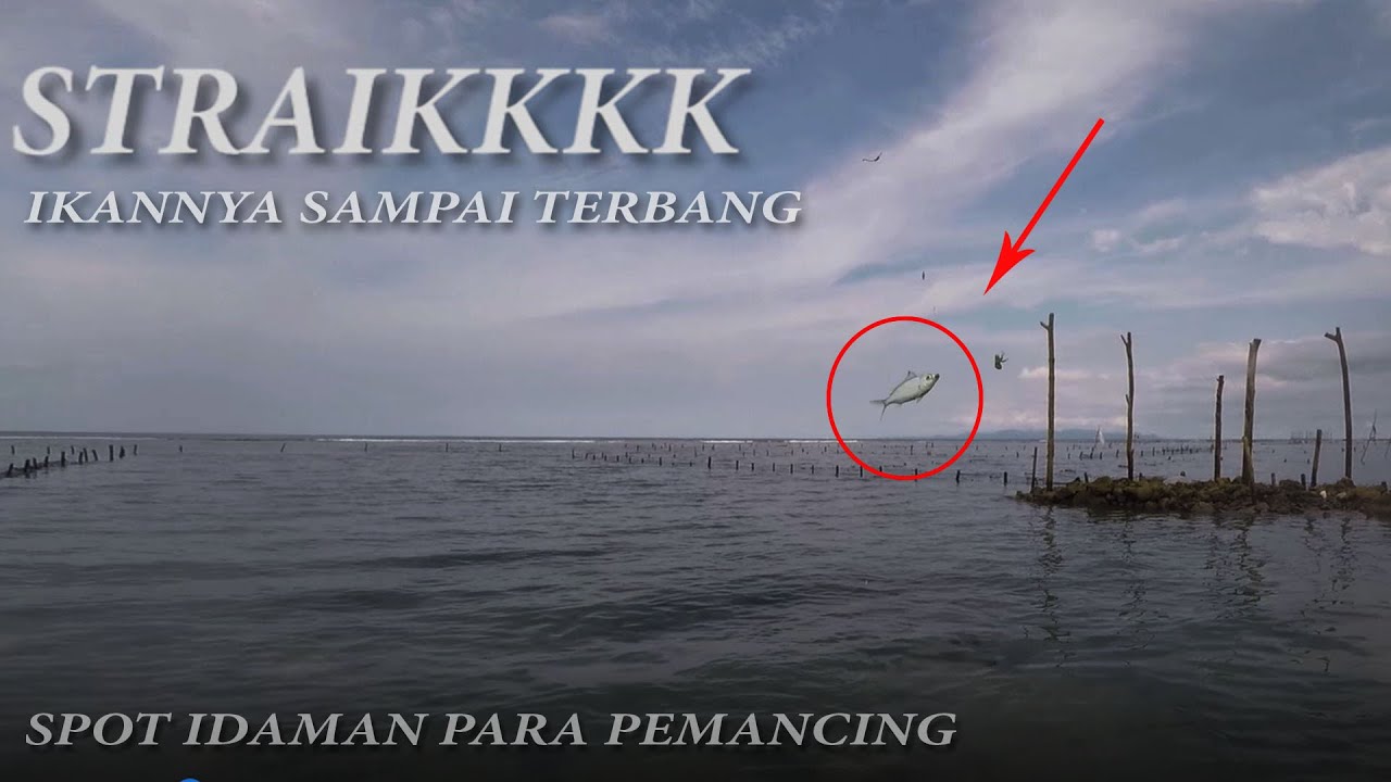 SPOT MANCING PINGGIRAN PALING MANTAP DI NUSA PENIDA