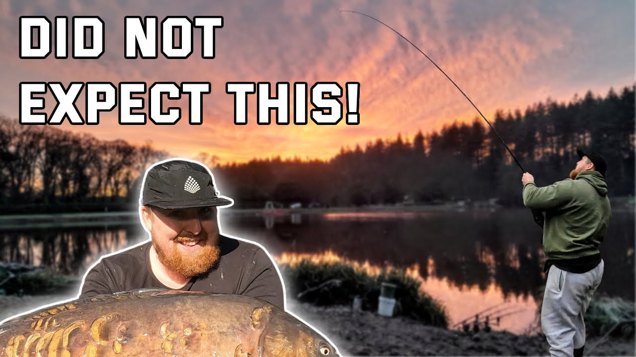 30lb Carp In Here? Winter Carp Fishing At Shearwater Lake Part 2! 🎣