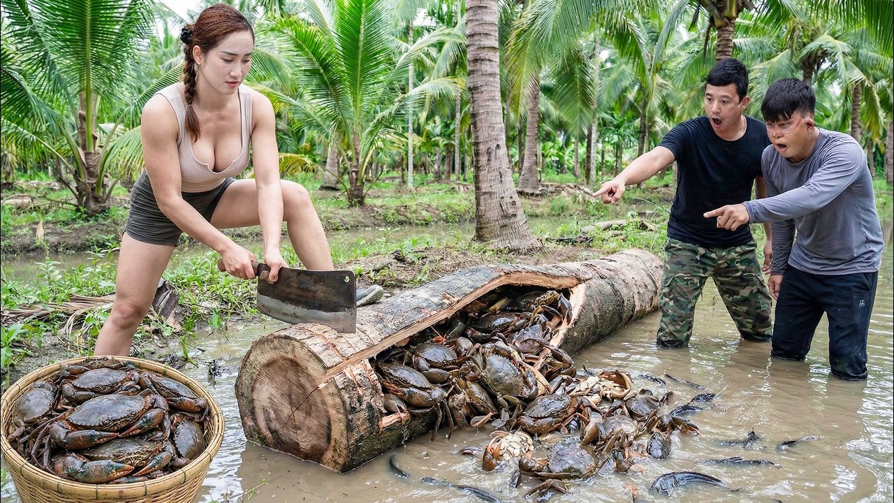 Harvesting 1000+ Giant Crabs Inside a Rotten Tree Trunk to Sell | From Swamp to Market