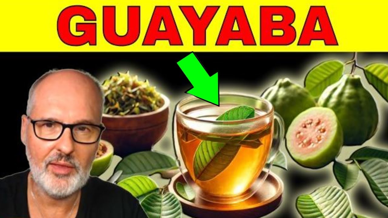 GUAYABA: BENEFICIOS, USOS y PRECAUCIONES