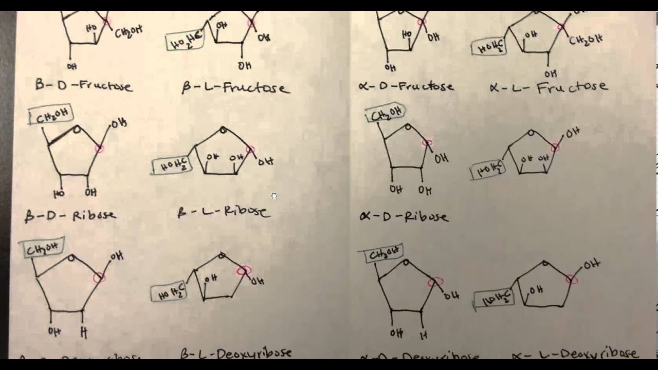 Carbohydrates (Part 4 of 4) PDF of Monosaccharides, Disaccharides and Polysaccharides