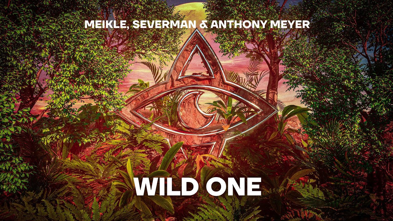 Meikle, Severman & Anthony Meyer - Wild One