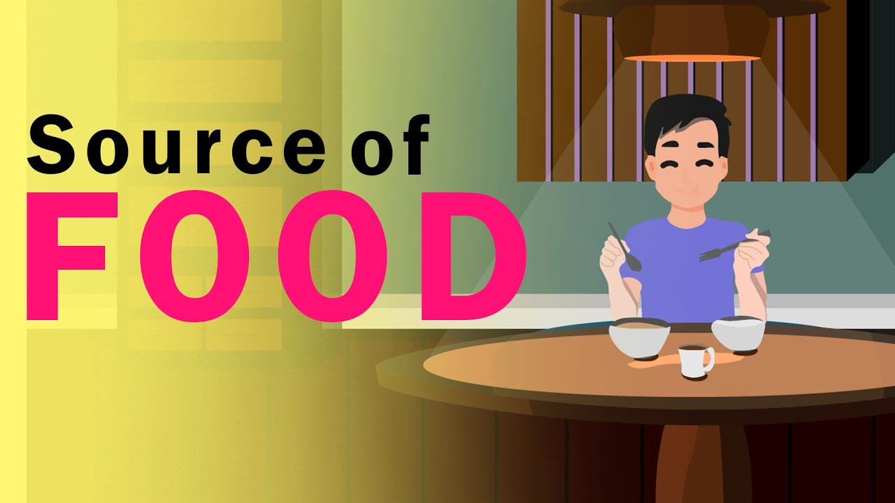 What are the main source of food?
