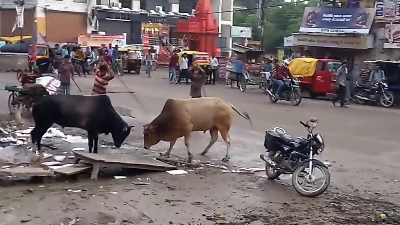 Banaras Ke Saand