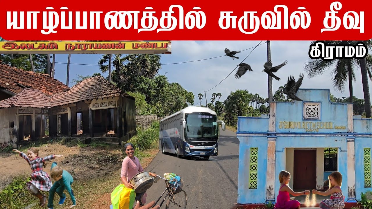 யாழ்ப்பாணத்தில் சுருவில் தீவு கிராமம் Suruvil Island Village in Jaffna