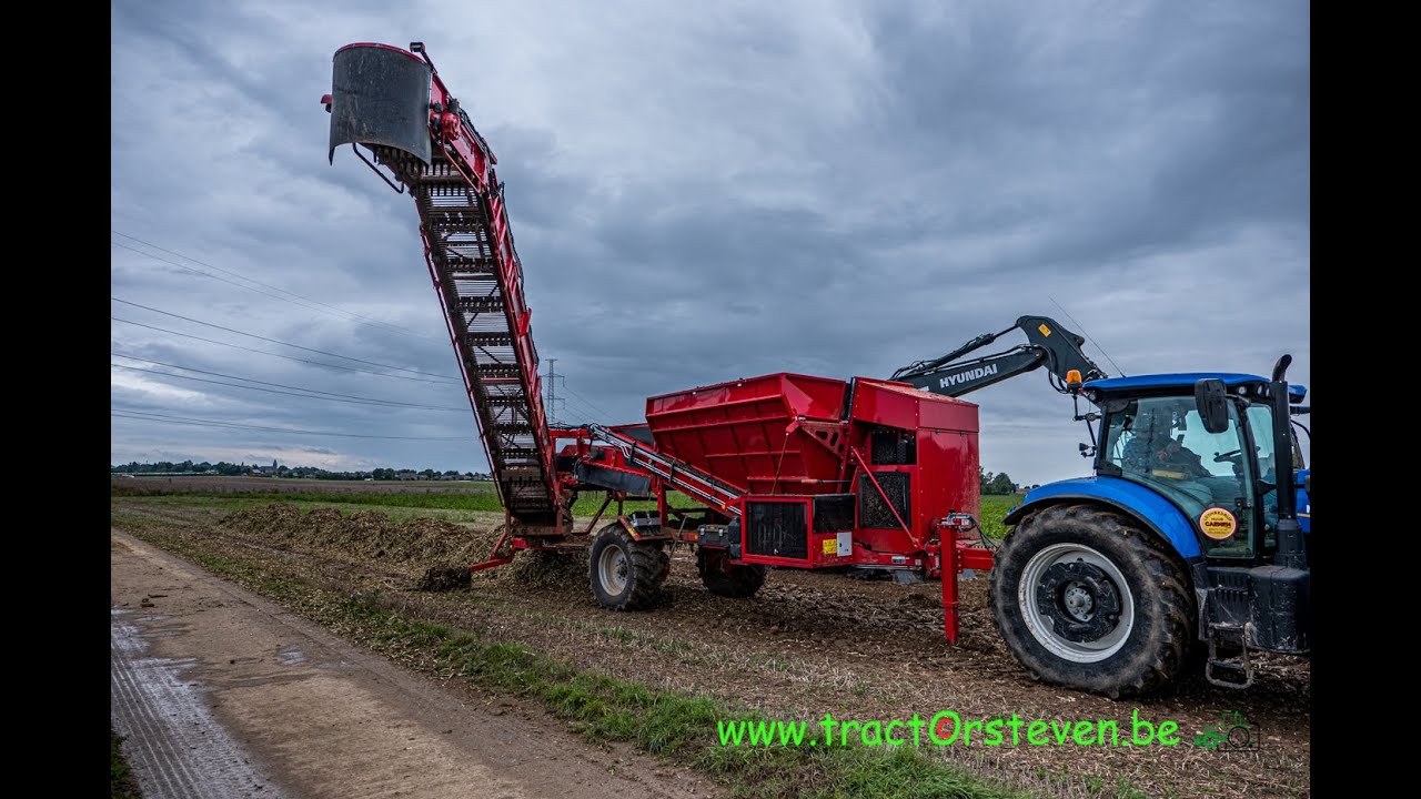 Holmer RRL 200 Chicory - Loonbedrijf Caenen (Veldwezelt)