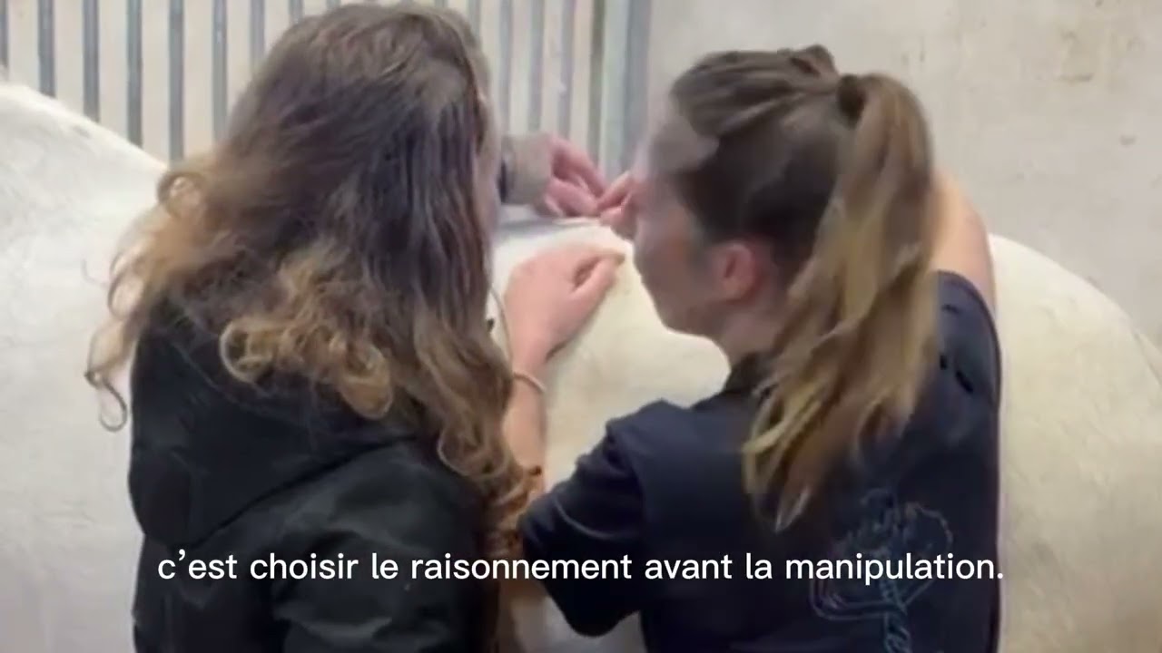 Pourquoi choisir l’étiopathie plutôt que l’ostéopathie ?